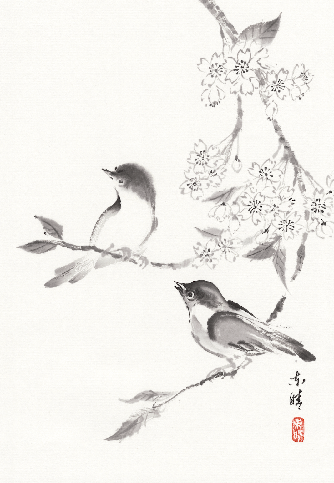 Cherry Blossom