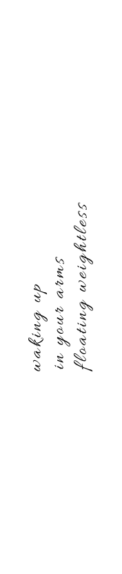 Waking Up in Your Arms ( in 3 lines )