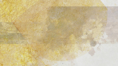 logo animation for Fern Whisper studio